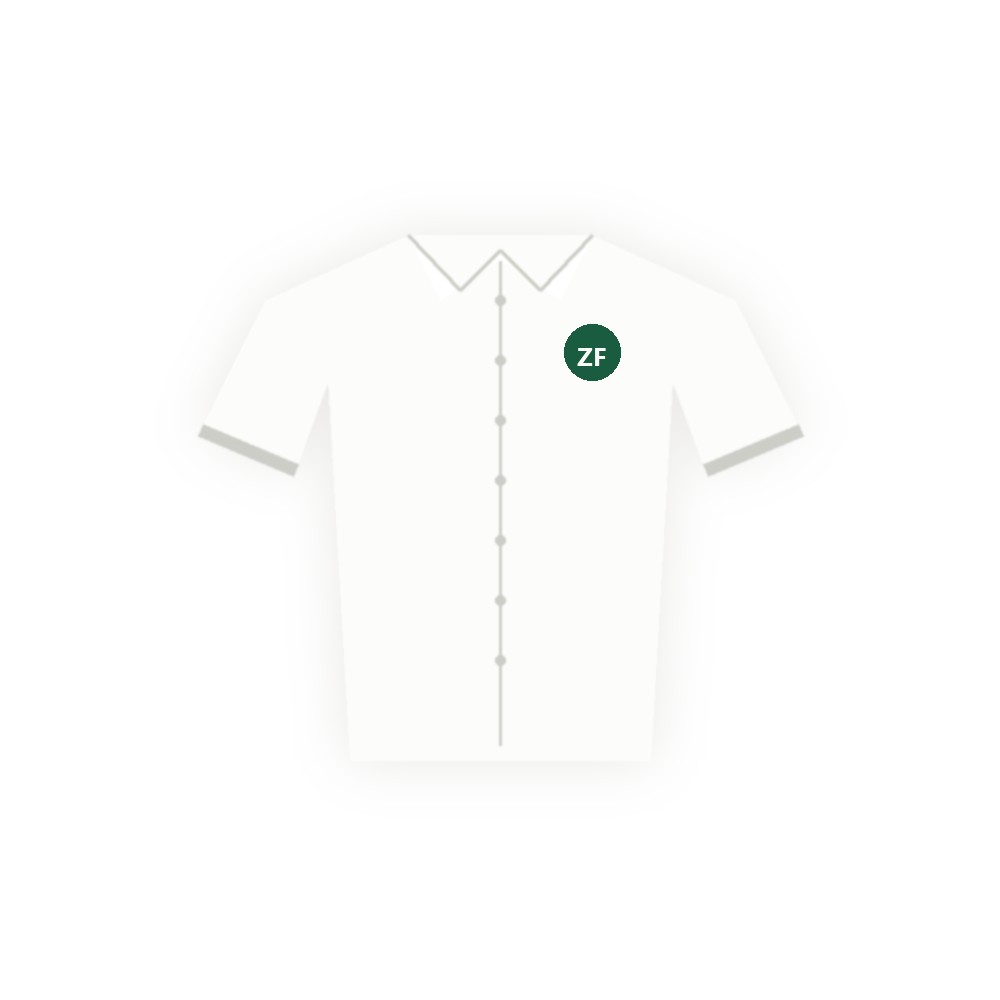 Business overhemd slim fit